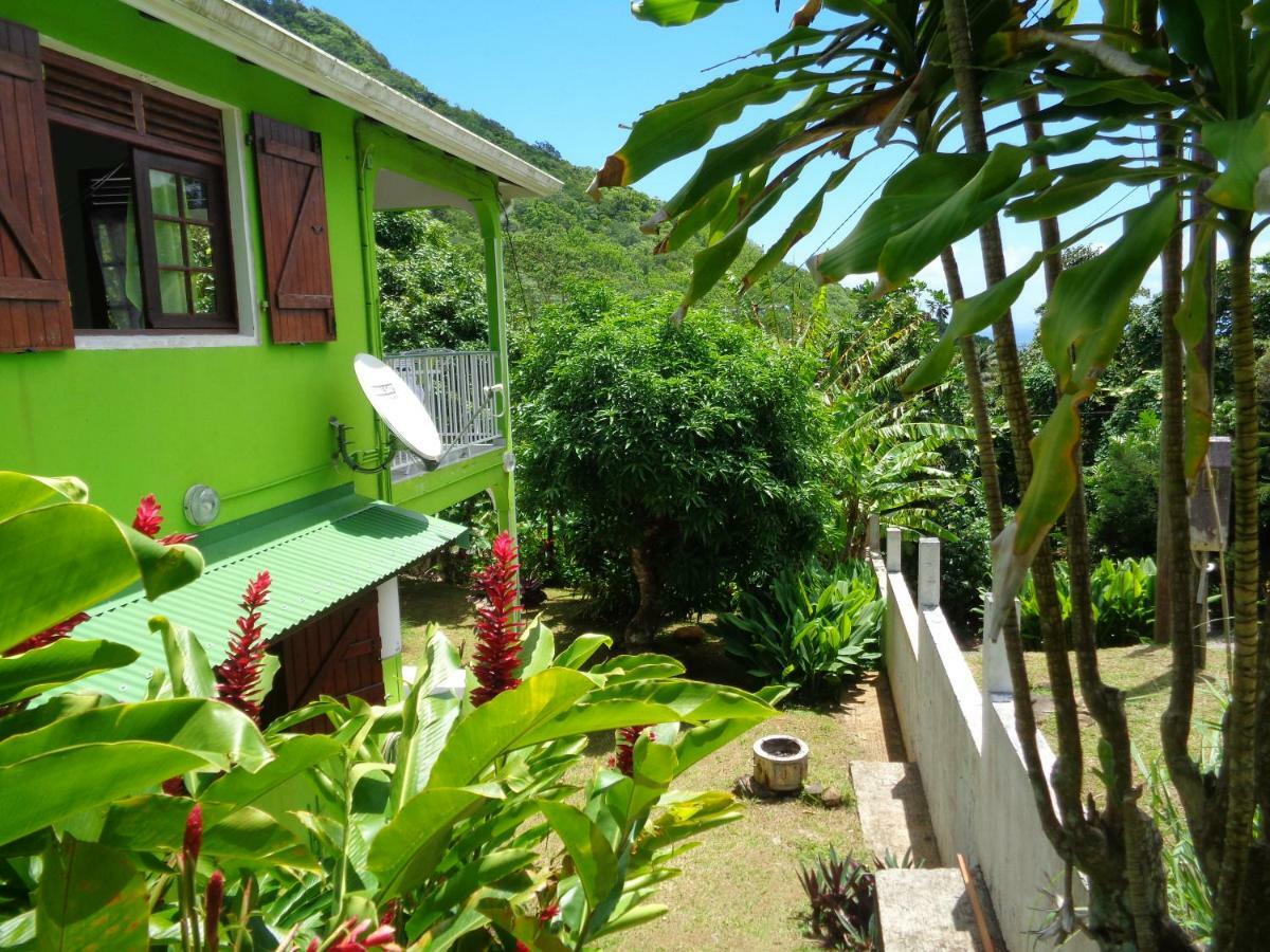 Apartamento Jardin Bananier Deshaies Exterior foto