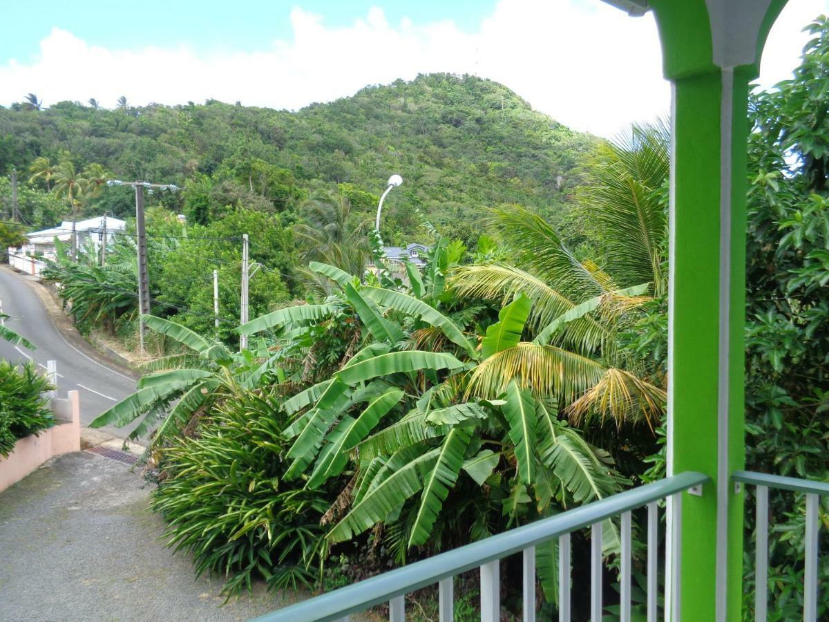 Apartamento Jardin Bananier Deshaies Exterior foto